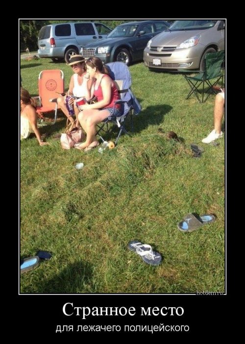 Свежие прикольные демотиваторы 