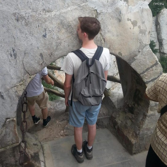 Ну, уж, что выросло, то выросло. Класс! позитив,смешные картинки,юмор