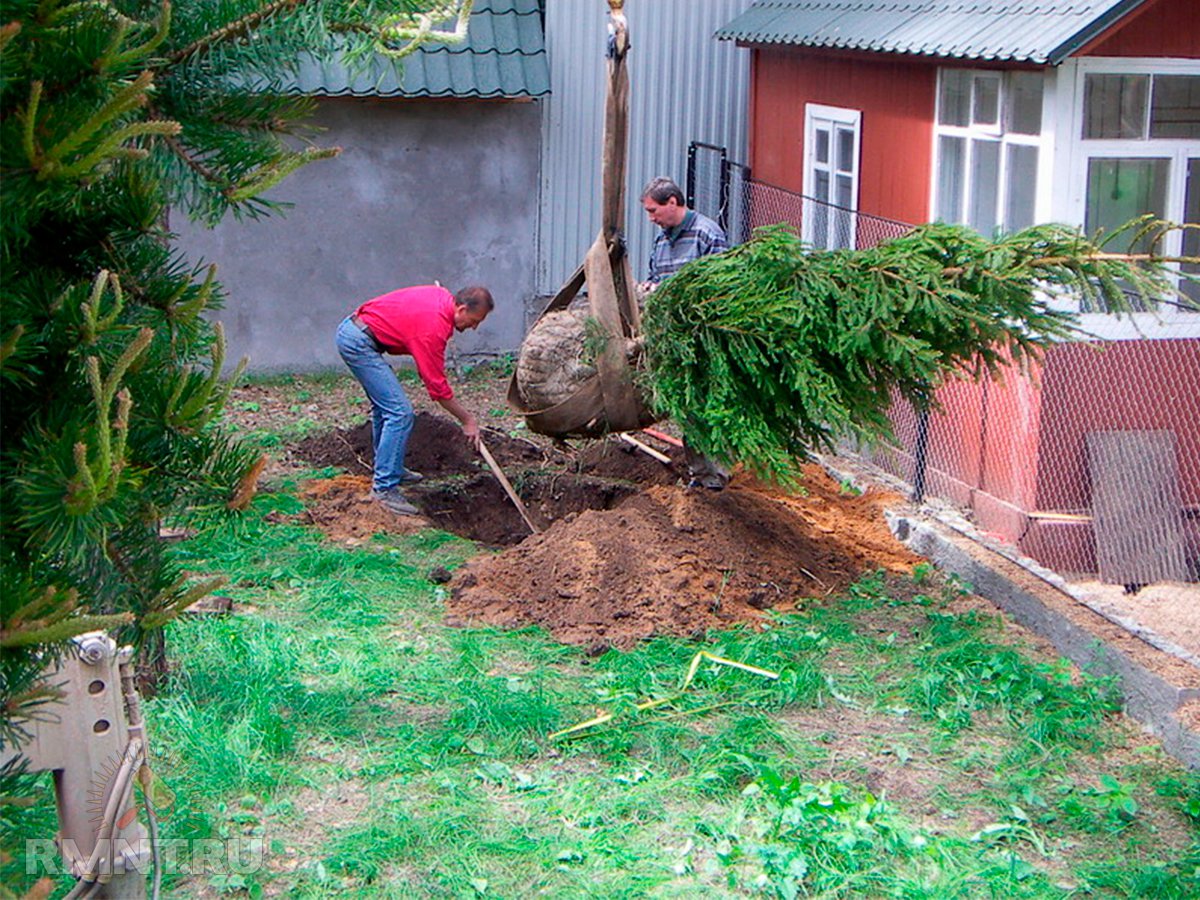 Дом в пересадках