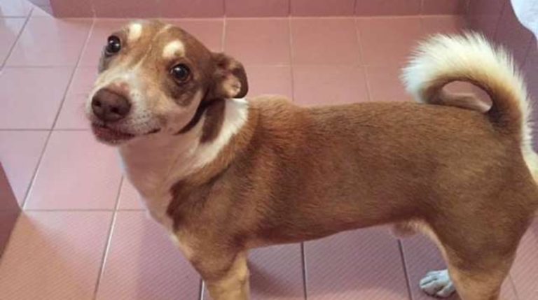 BeFunky-collage (10)