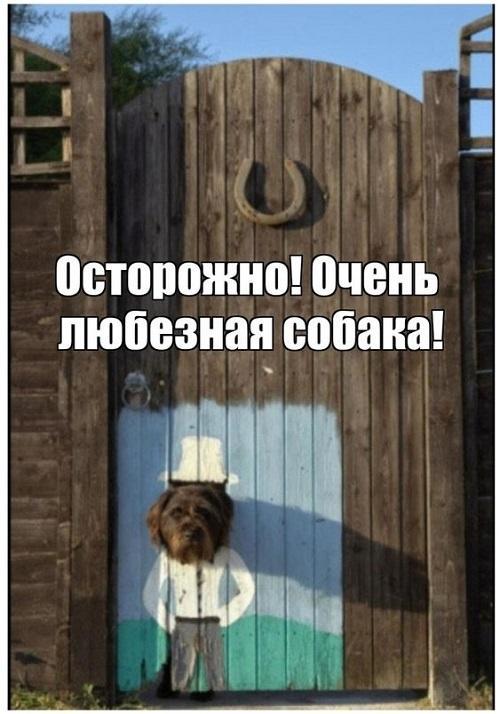 Шутки и анекдоты для заразительного смеха Шутки и анекдоты для заразительного смеха