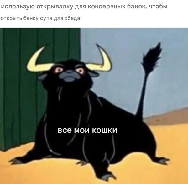 Прикольные мемы для тех, кто любит кошек: «Странный шум внизу…» 