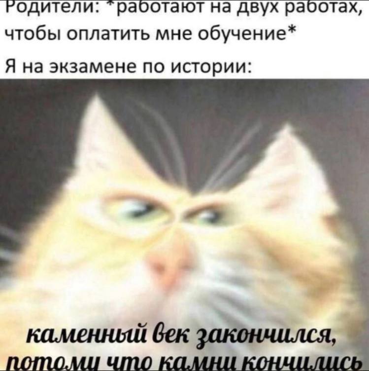 Юмору быть! Свежая ночная подборка Юмору быть! Свежая ночная подборка