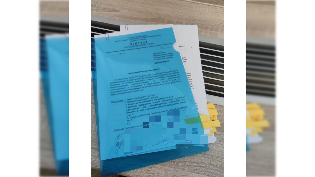 «Ставлю на «победу плова»: депутаты ГД подготовили ряд «антимигрантских» поправок – от запрета никабов до борьбы с диаспорами 78,телеканал,виталий пирогов,государственная дума (госдума),парламент,коммунистическая партия (кпрф),россия,министерство внутренних дел (мвд),Михаил Матвеев,фракция; коммунистическая партия (кпрф),россия