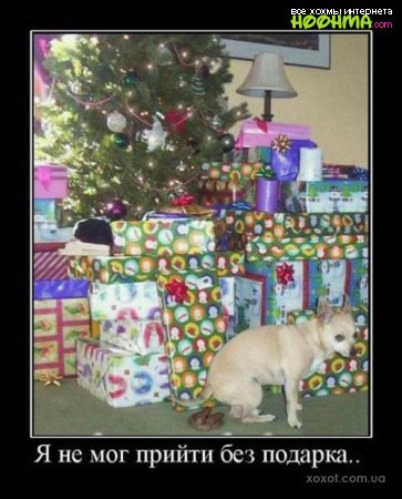 Веселые истории о нас. Предновогоднее настроение Веселые истории о нас. Предновогоднее настроение