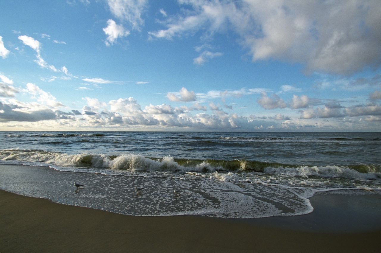 кинбурнская коса херсонская область. город 5 морей. море красивые места. аязьма крым. берег черного моря.