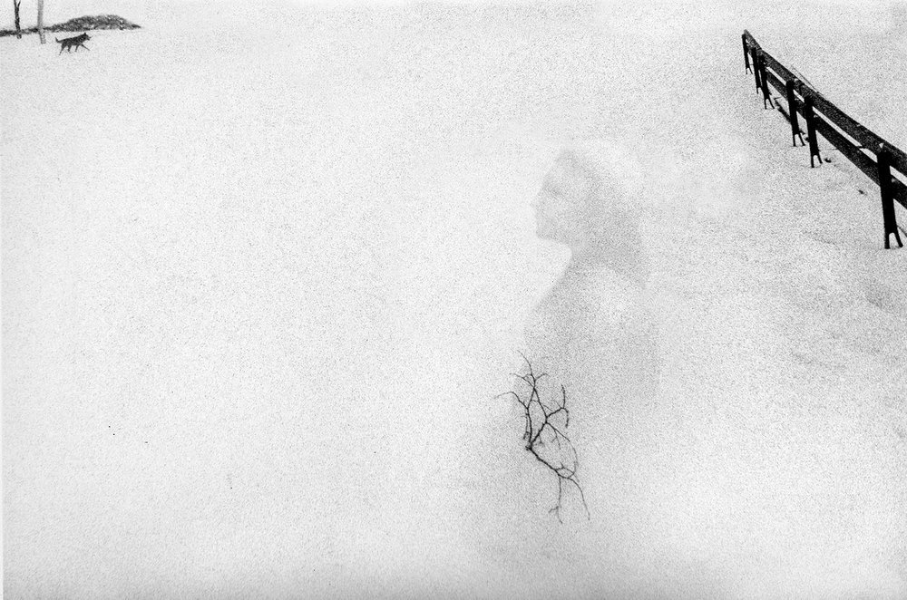 Магнетическое очарование жизни в фотографиях Магнетическое очарование жизни в фотографиях