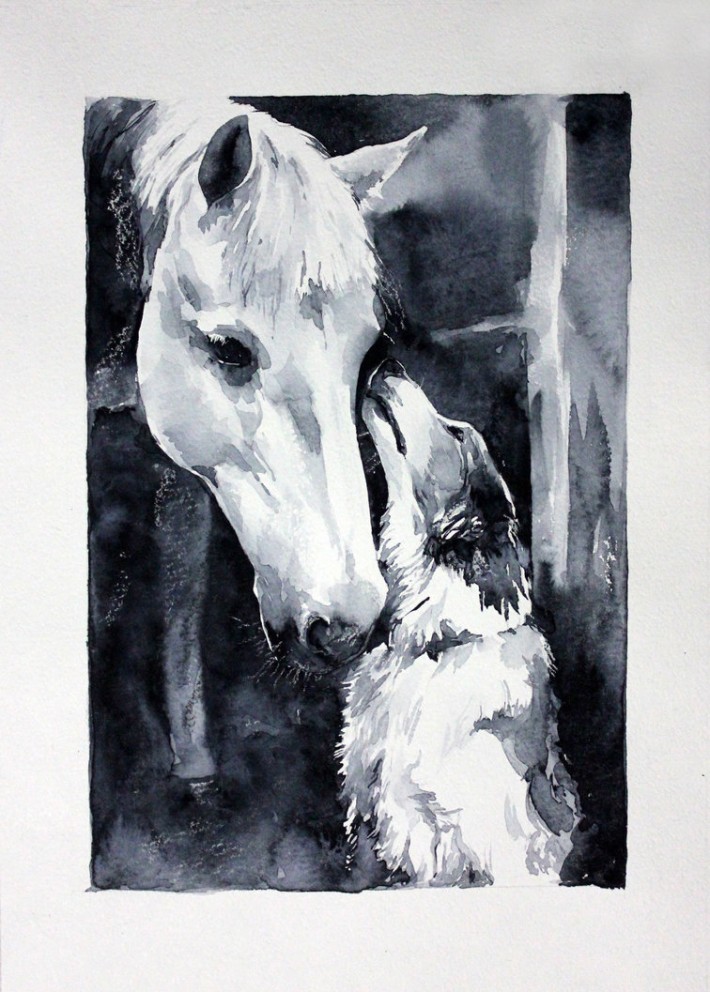 Лошади в акварельных рисунках Елены Швец (18 работ)