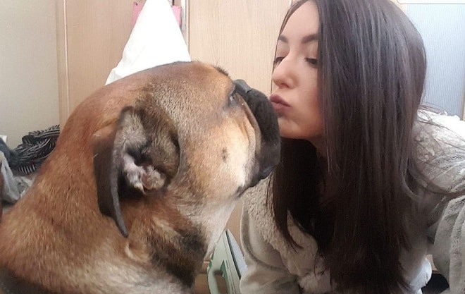 Настоящий актер: капризный пес устроил «спектакль» прямо на улице, переполошив людей Настоящий актер: капризный пес устроил «спектакль» прямо на улице, переполошив людей супер