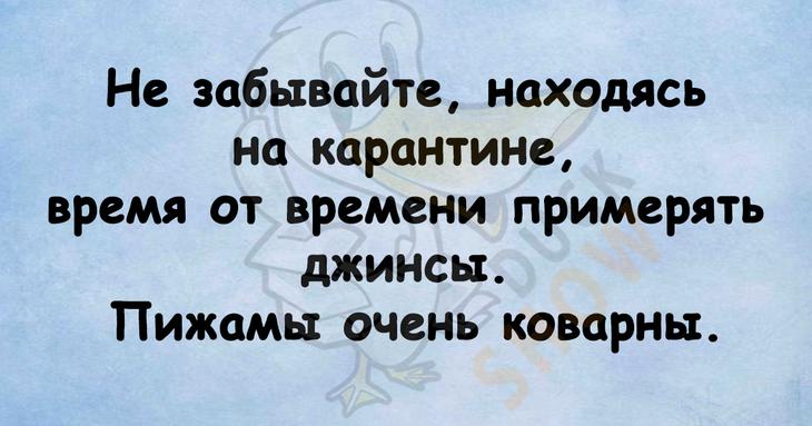 Шутки, которые поднимут настроение именно вам 