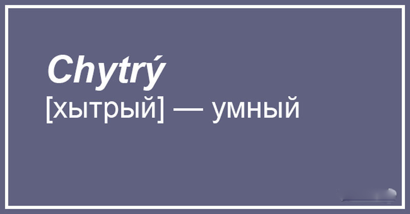 Чешский, что ты делаешь? Прекрати. 20 случаев, когда сдержать смех просто нереально 