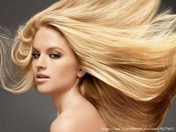 5177462_6015439 (604x453, 136Kb)