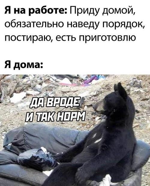 Свежие хорошие ржачные картинки 
