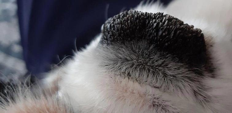 Суперфотографии, которые удивят всех на 100% Суперфотографии, которые удивят всех на 100% мир