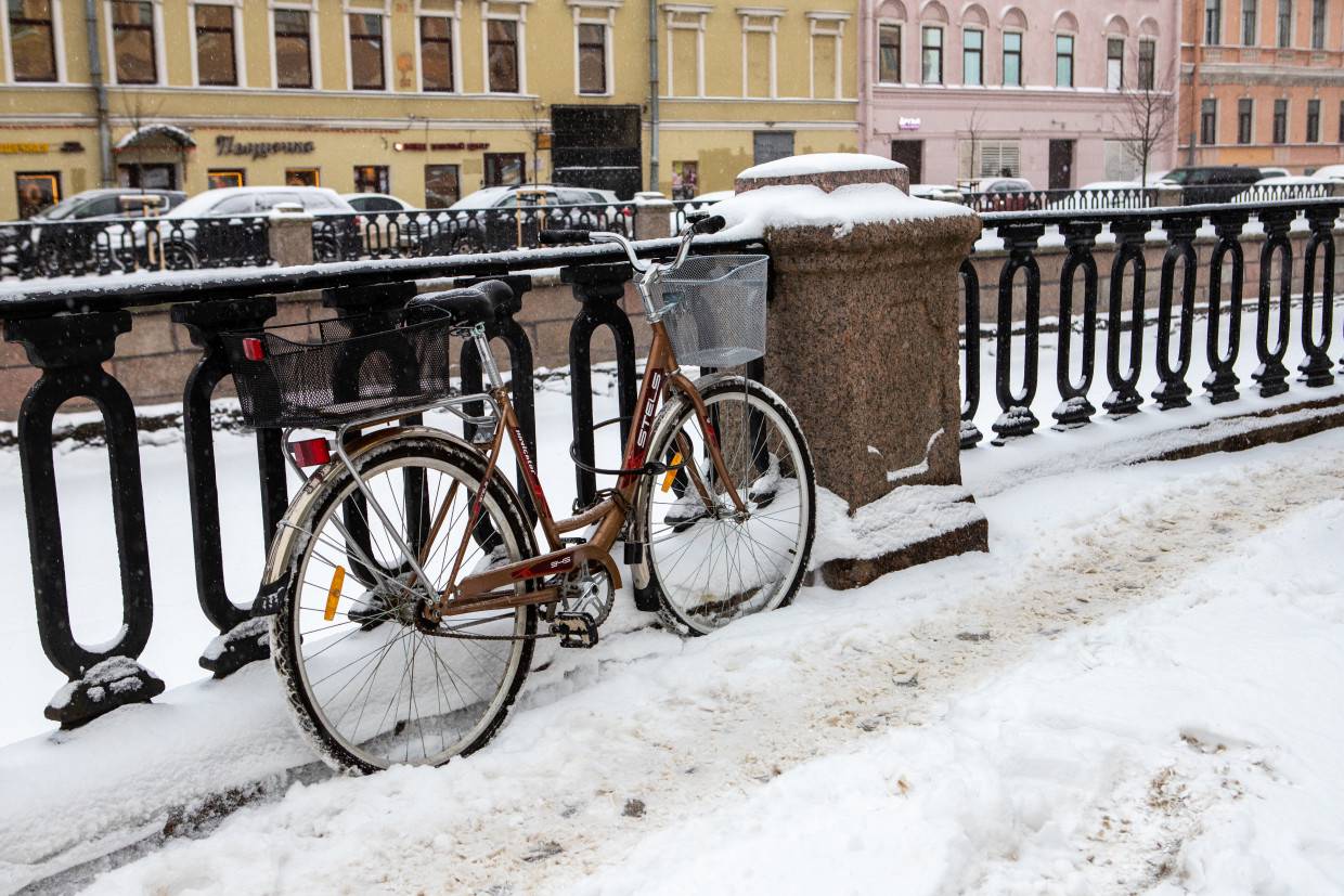 Синоптик Куткевич предупредил петербуржцев о снежной и морозной неделе в начале февраля
