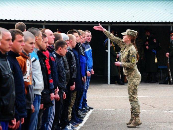 Записки Колорадского Таракана. Оле, оле, мы можем побеждать! украина
