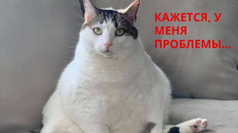 BeFunky-collage (22)