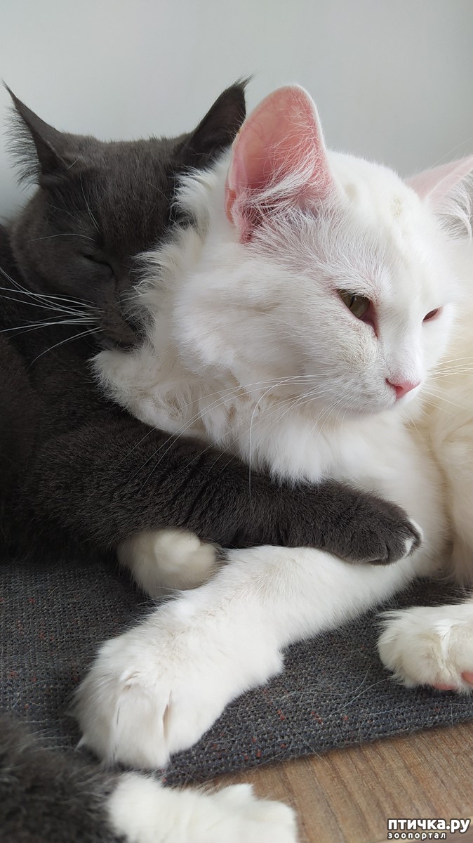 Однa женщина ходит к нaм в клинику каждую весну-лeто