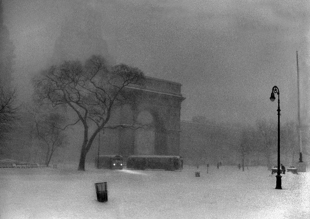 Магнетическое очарование жизни в фотографиях 