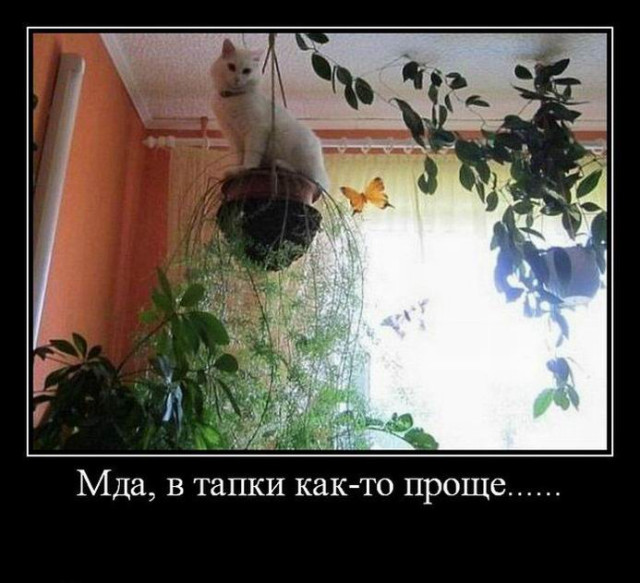 Демотиваторы для всех: «Желаю вам много тепла!»  