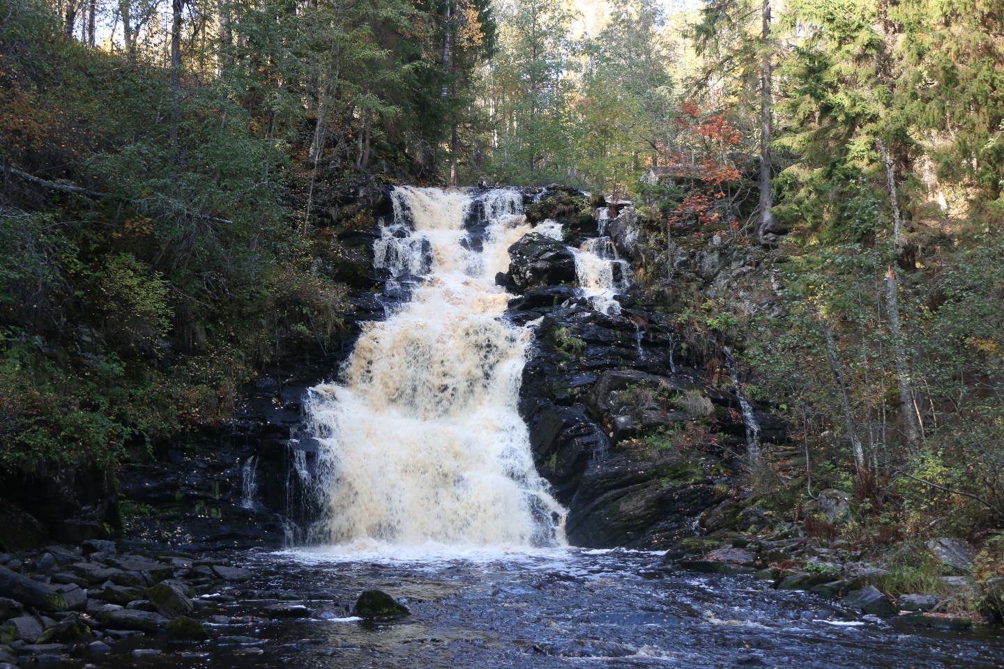 Разноцветная Карелия 