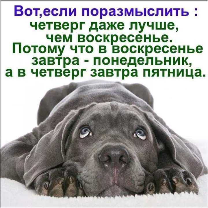 Профессиях, картинки с приколами и надписями про четверг