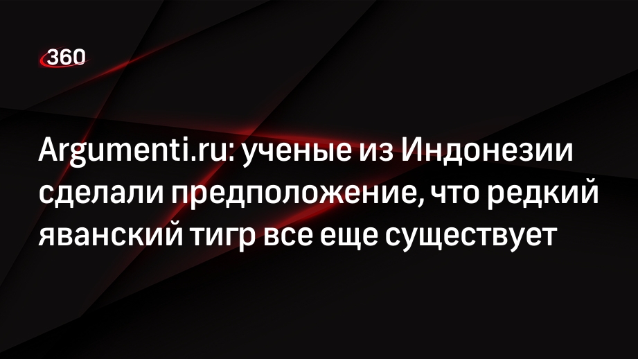 Argumenti.ru: ученые из Индонезии сделали предположение, что редкий яванский тигр все еще существует