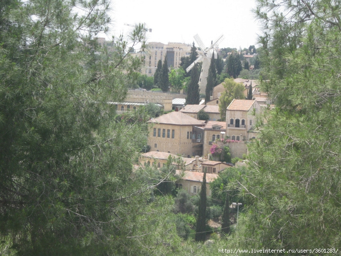 375 (700x525, 363Kb)