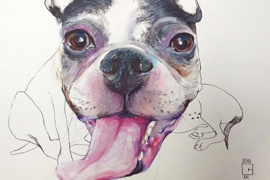 Иллюстрации Ольги Галь