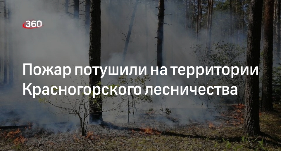 Пожар потушили на территории Красногорского лесничества
