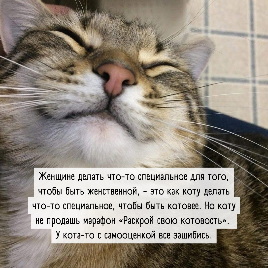Юмор из интернета 722 позитив,смех,улыбки,юмор
