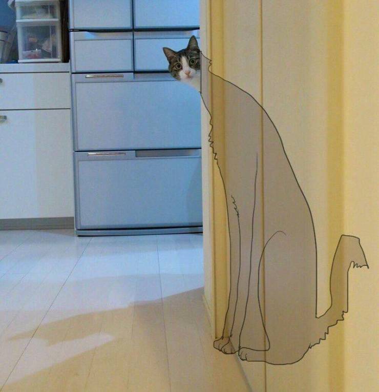 Подборка прикольных картинок  приколы,смешные картинки,юмор