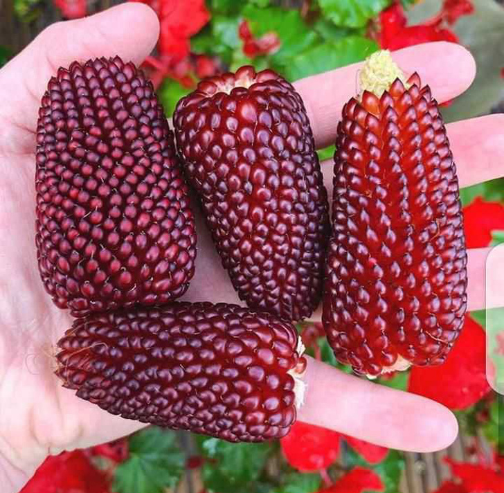 Расширяем кругозор и познания о нашем мире за несколько секунд Расширяем кругозор и познания о нашем мире за несколько секунд