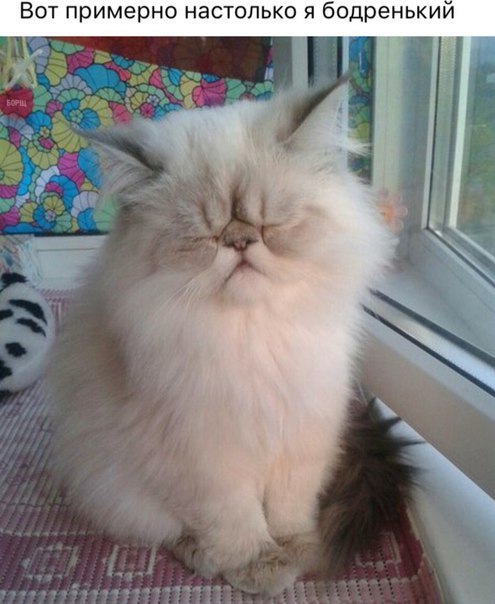 Прикольные картинки и фото с надписями со смыслом Прикольные картинки и фото с надписями со смыслом