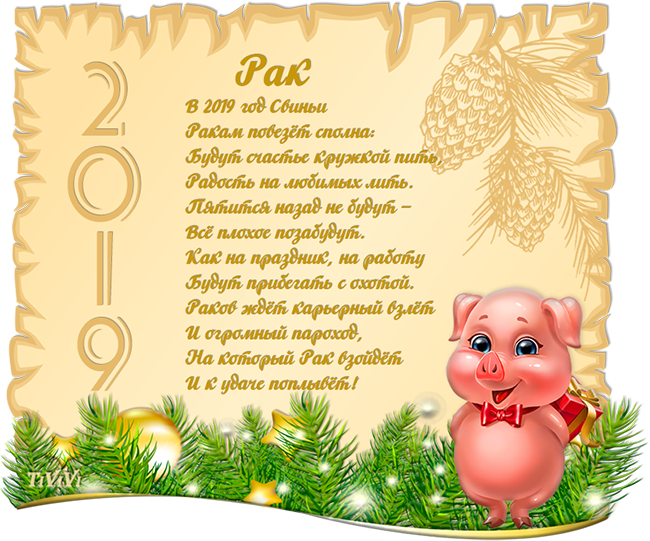   2019