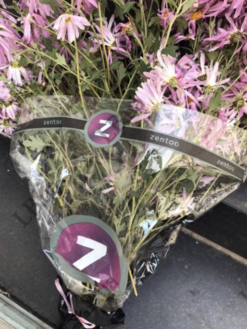 Провокация на могиле Столыпина – сигнал к новой атаке на УПЦ Провокация на могиле Столыпина – сигнал к новой атаке на УПЦ украина