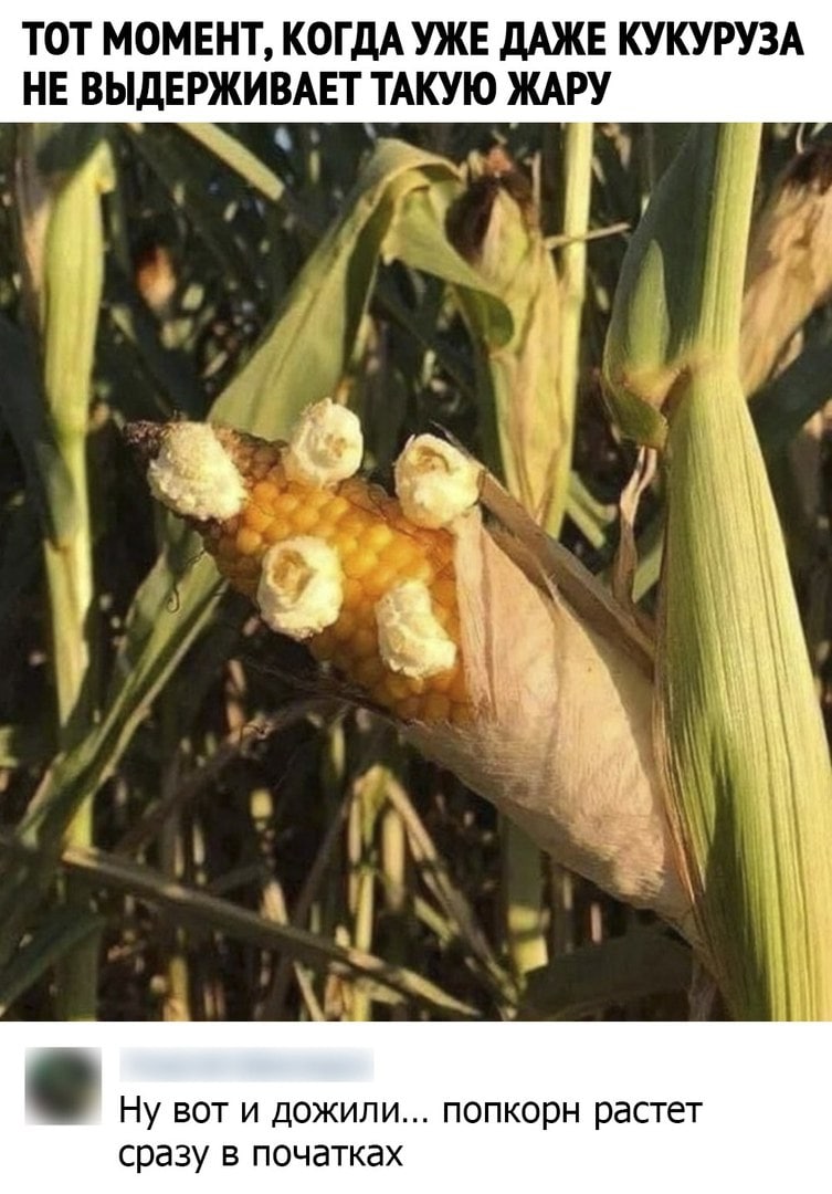 ОТПУСК/КАНИКУЛЫ ОТПУСК/КАНИКУЛЫ