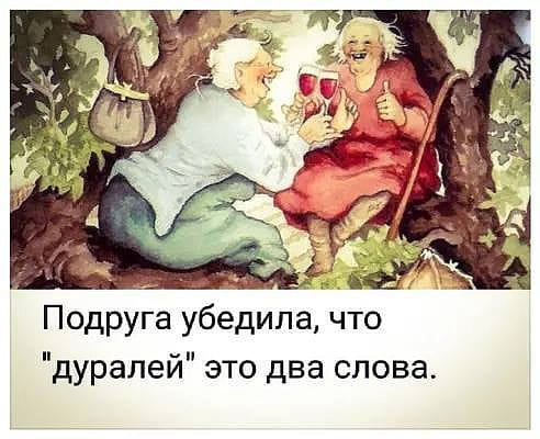 20 крутых анекдотов, шуток и историй с просторов Сети, чтоб посмеяться от души 