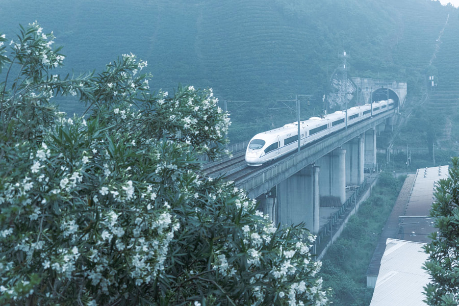 开往春天的列车 by 英子  on 500px.com