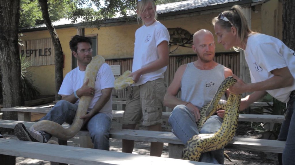 Успеть увидеть мир своими глазами авиатур