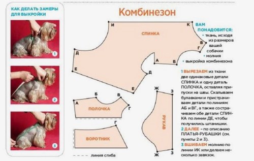 Выкройка одежды комбинезона для собаки Йорка