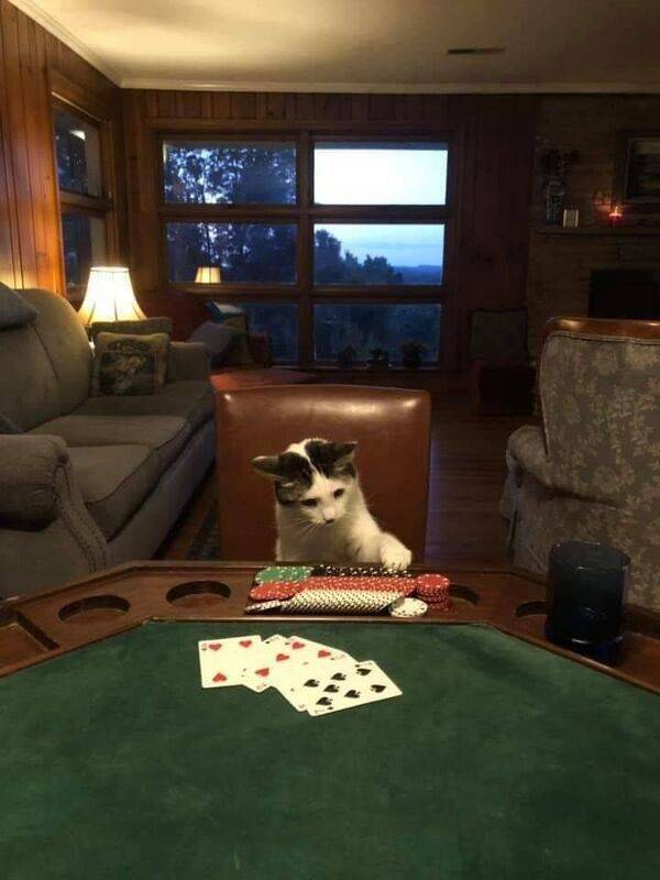 Подборка прикольных картинок  приколы,смешные картинки,юмор