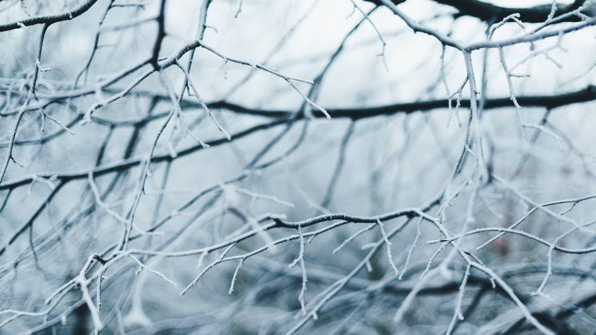 Похолодание и осадки вернутся в Приморье на следующей неделе