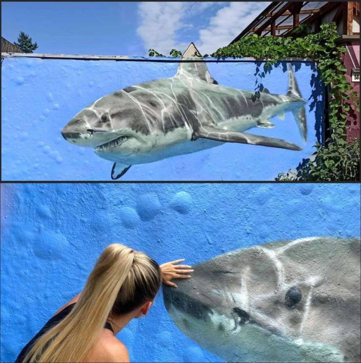 Подборка прикольных картинок  приколы,смешные картинки,юмор