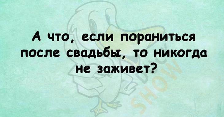 Прекрасное начало летнего дня – подборка веселых анекдотов 