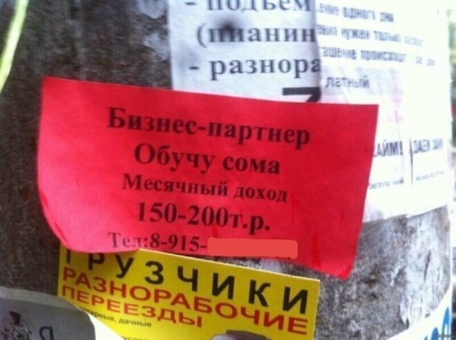 А щуку можно обучить?