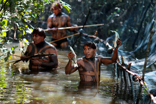 Синта ларга: самые кровожадные индейцы Бразилии, перехитрившие белых 