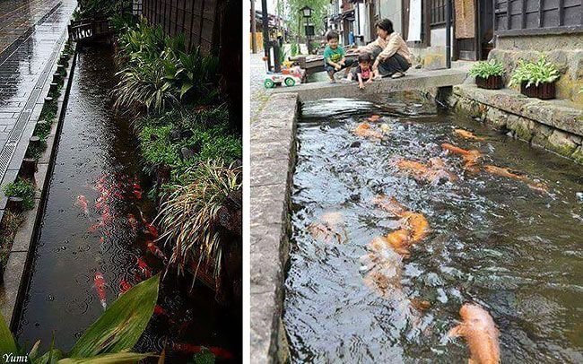 1. Водосточные и сливные каналы с рыбками 1. Водосточные и сливные каналы с рыбками интересно, путешествия, удивительно, япония