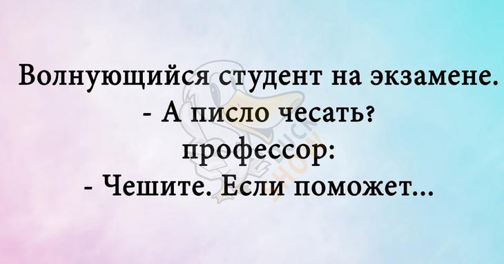 Шутки, которые поднимут настроение именно вам 