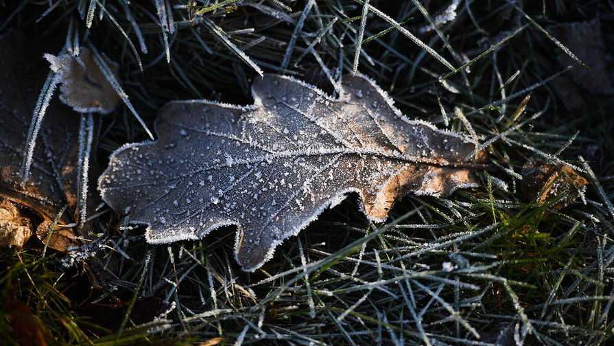 Вильфанд: в Поволжье и на Урале на следующей неделе сохранится холодная погода